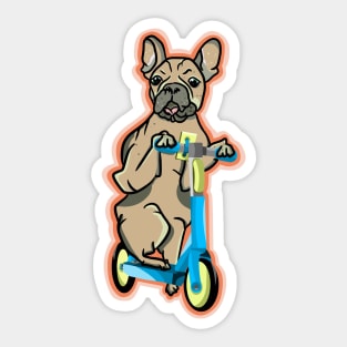 Pug riding a e-scooter Sticker